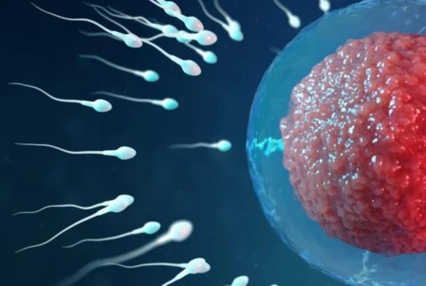 1 blog inventre marÇo 1 pilar page fertilidade e investigação reprodutiva (1)