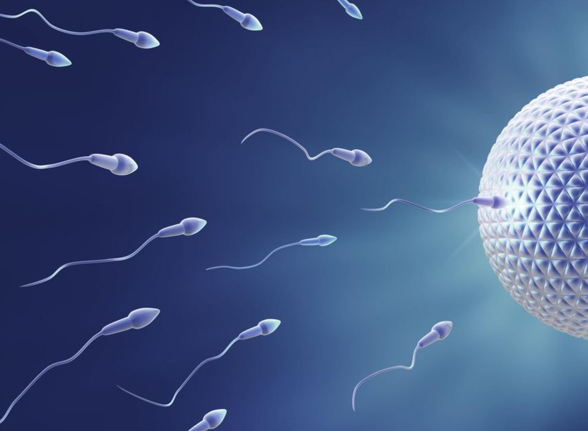 2 blog inventre abril nem toda dúvida sobre fertilidade é infertilidade