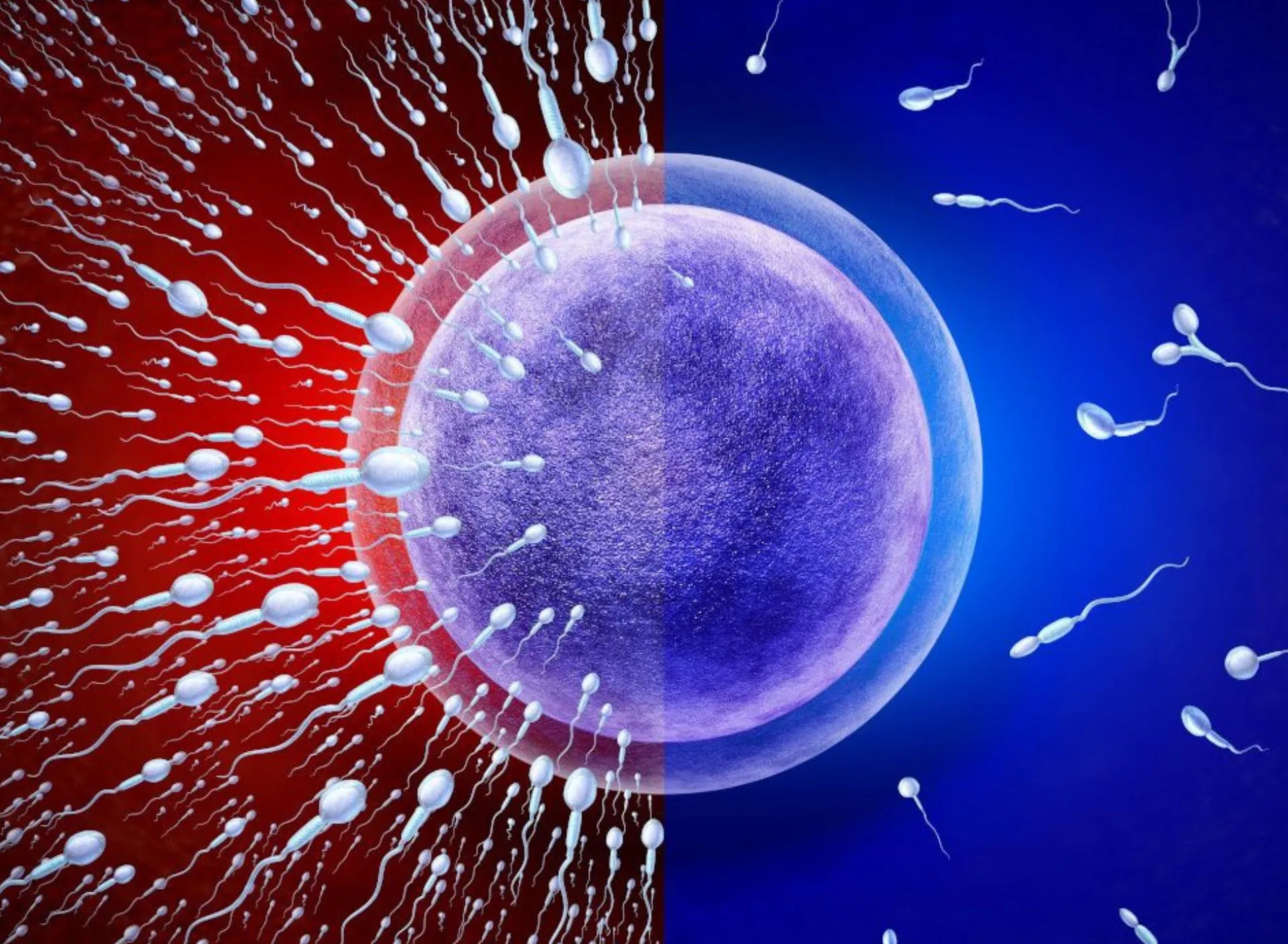 3 blog inventre marÇo fertilidade por que a falta de informação atrasa decisões